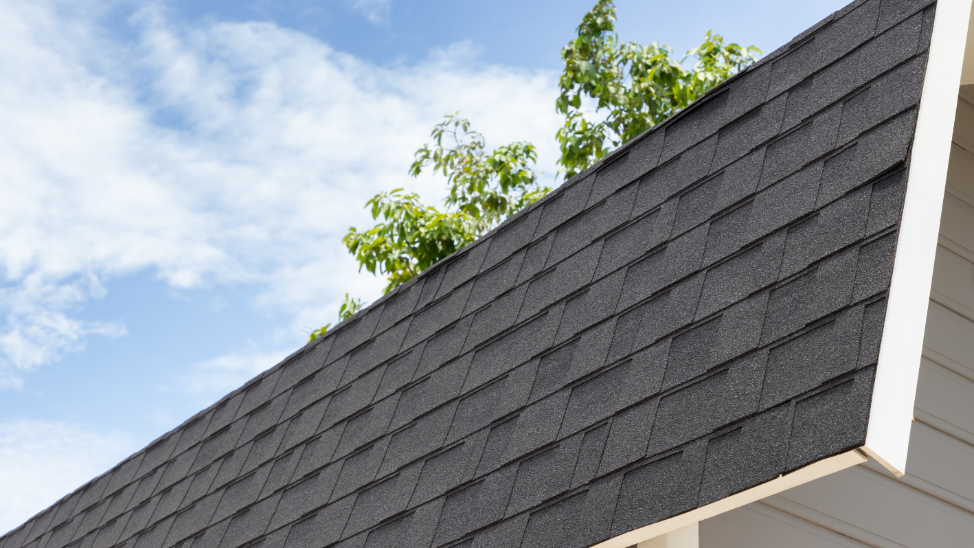 A house with a black roof and white trim